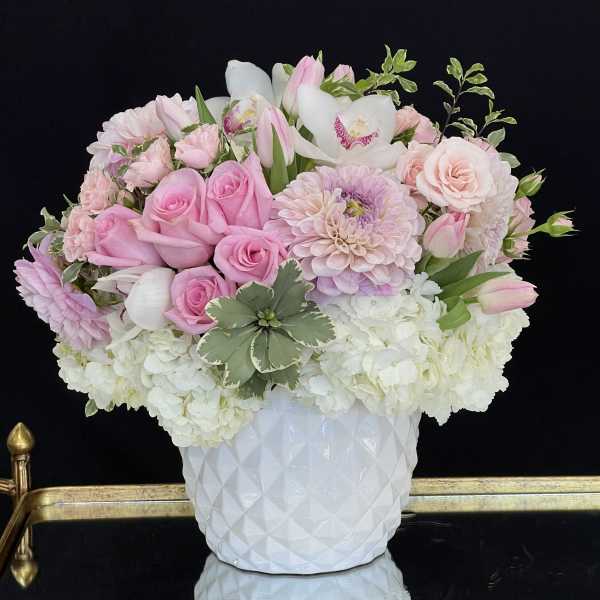Elena