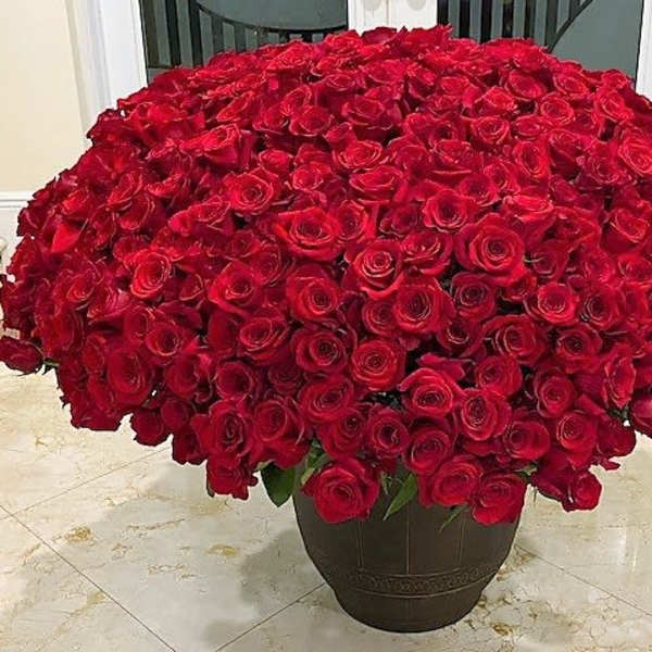 Large dome of red roses arranged densely in a dark brown pot