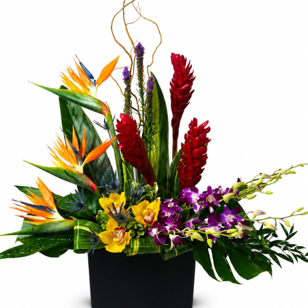 Aloha Tropical