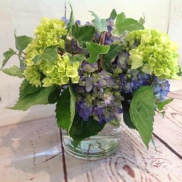 Low arrangement of green and purple hydrangeas in a clear glass cylinder vase