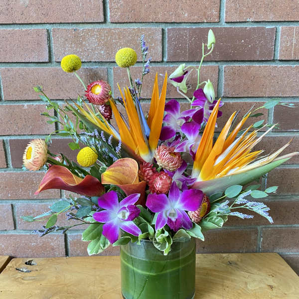 Tropical arrangement with orange birds of paradise, purple orchids, and calla lilies in a green-lined glass vase