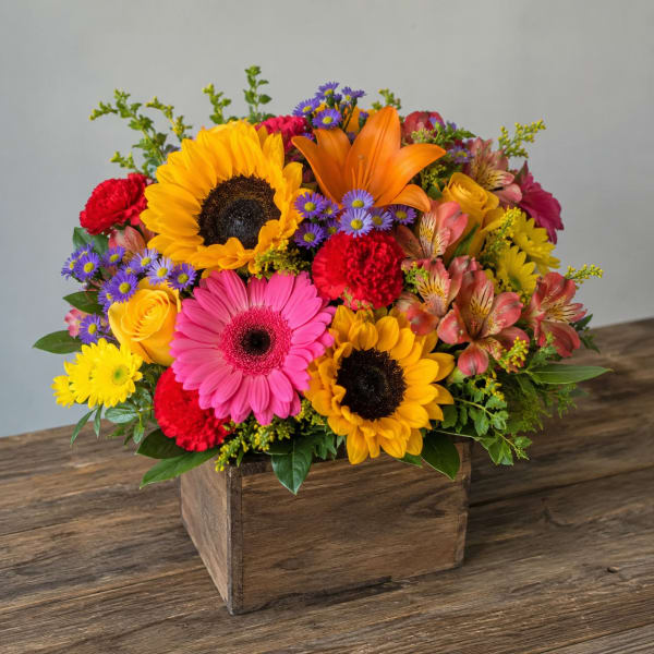 Petal Perfection's Summer Dance