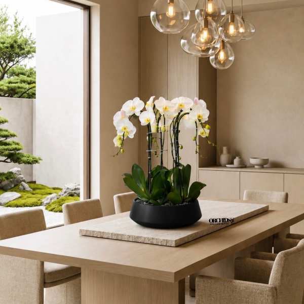 White orchids arranged in a black bowl on a dining table