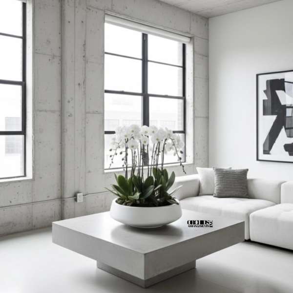 White orchid arrangement in a low round bowl on a table
