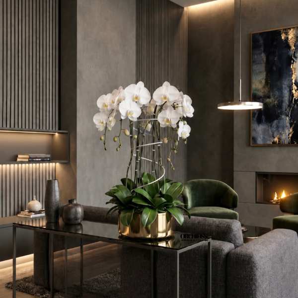 White orchids arranged in a gold pot on a table in a modern living room