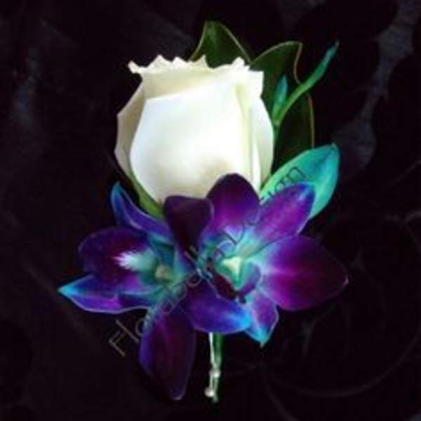 White rose and blue-purple orchid boutonniere on a dark background