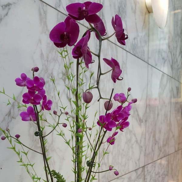 Purple orchid arrangement in a white bowl planter