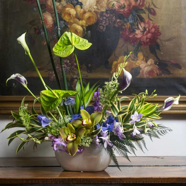 Tropical Opulence
