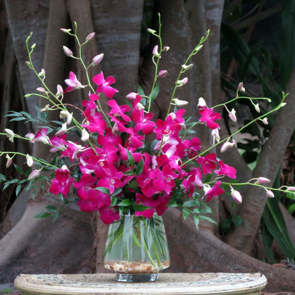 Bright pink orchid arrangement in a clear glass vase