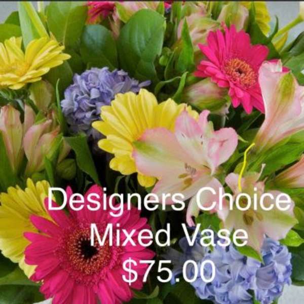 Mixed bouquet of gerbera daisies, alstroemeria, and hydrangeas