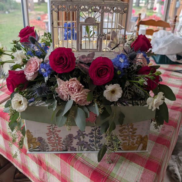 Bird cage on a Box