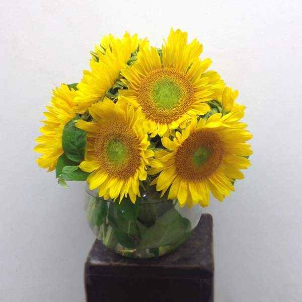 Bouquet of yellow sunflowers in a clear glass vase