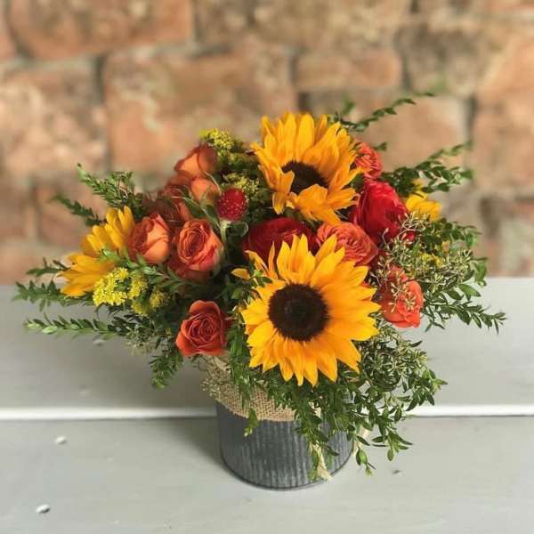 Fall sunflowers