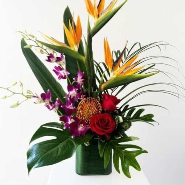 tropical passion