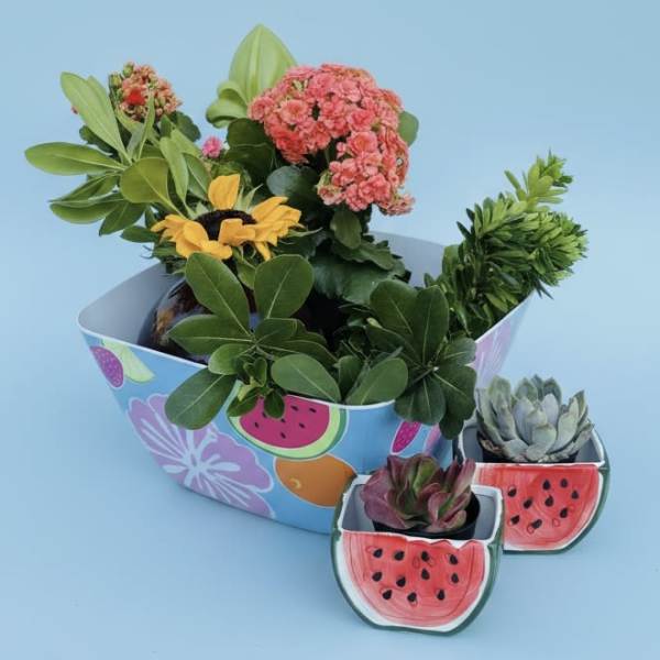 Watermelon succulents fruit bowl bouquet (* comes with complimentary bunch of sunflowers)