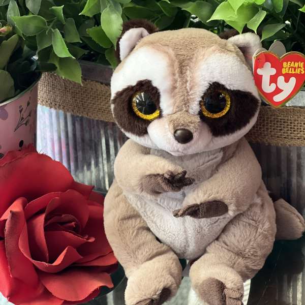 Plush raccoon with a red rose and potted greenery
