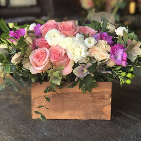 Dolce Mamma