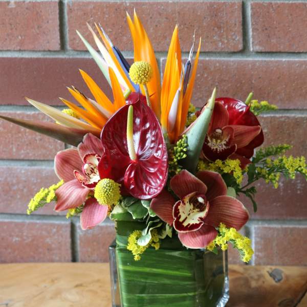 Tropical arrangement with birds of paradise, red anthurium, and orchids in a green-lined glass cube vase