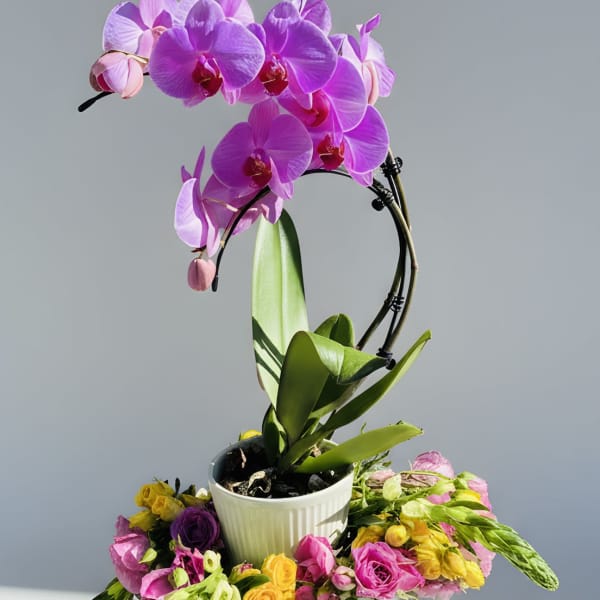 Orchids and Roses Bouquet