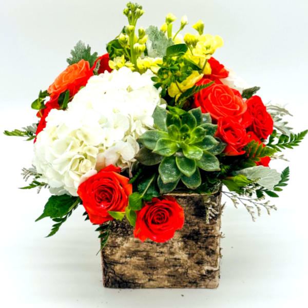 Natural Beauty