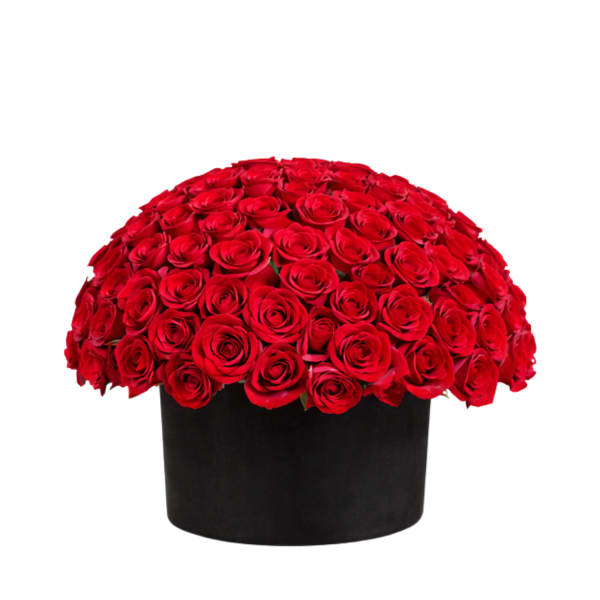 Large dome of red roses in a black box