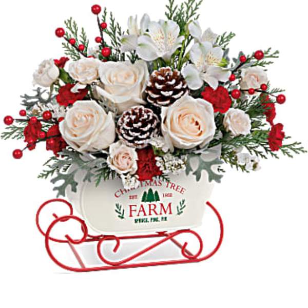 Christmas bouquet with white roses and red berries in a sleigh container