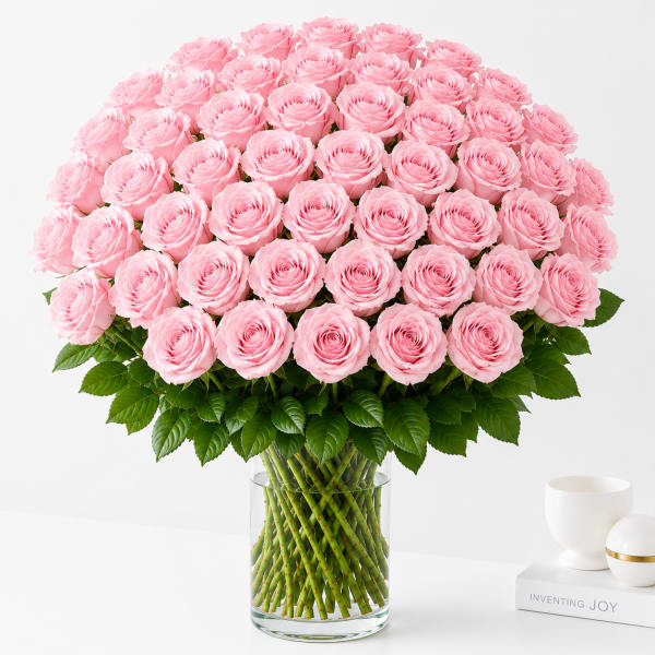 48 Light Pink Roses