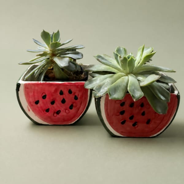 Two succulents in painted watermelon-shaped planters