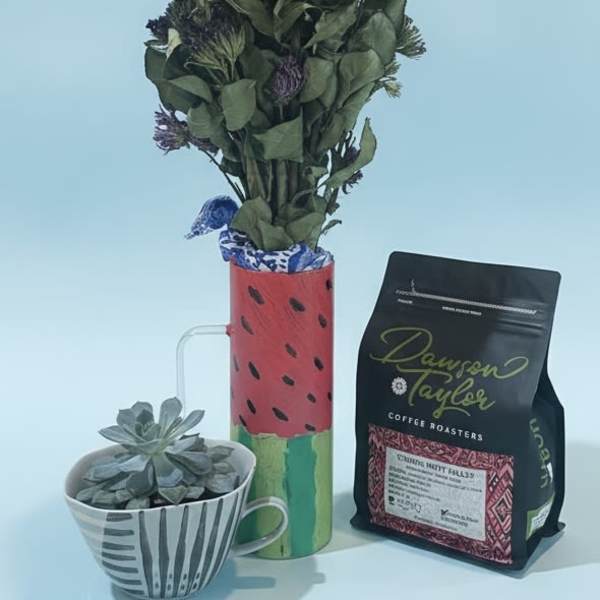 Coffee and succulents mug bundle