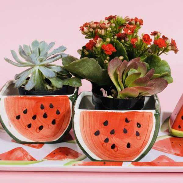 Succulent plants in watermelon-themed pots with matching decor pieces