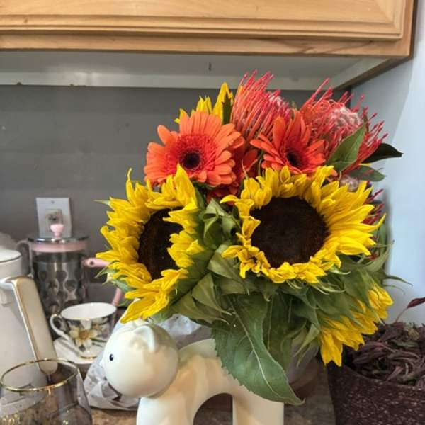 Bright sunflower bouquet with orange gerbera daisies in a white dog-shaped vase