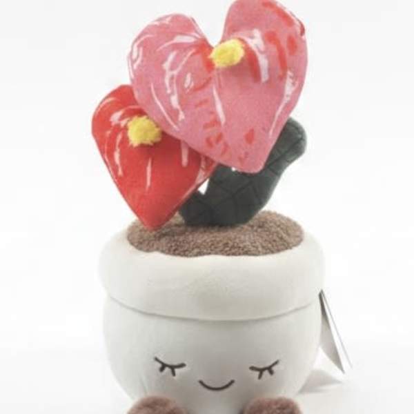 Anthurium plant plushy