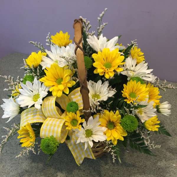 Basket arrangement of yellow and white daisies with a yellow ribbon bow