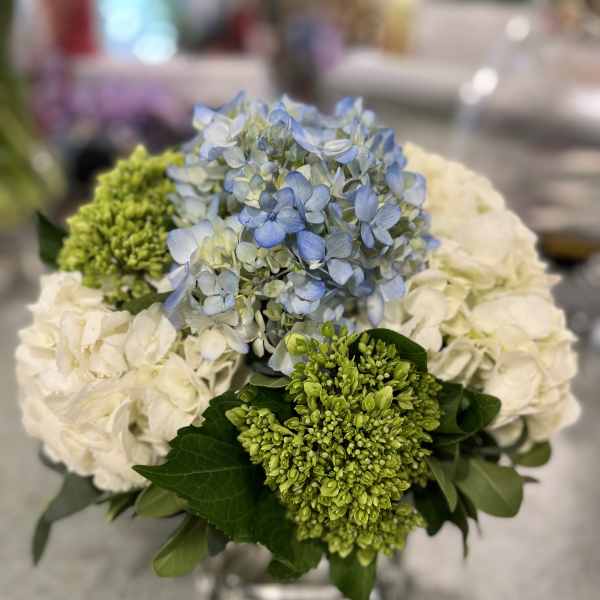 Blue and white hydrangea bouquet with green blooms