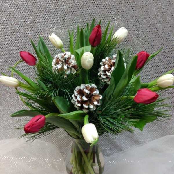 Red and white tulips arranged in a glass vase with pinecones
