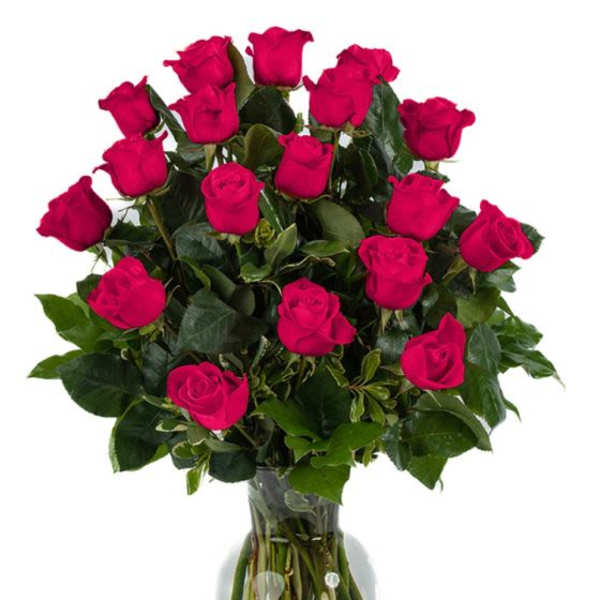 18 Hot Pink Roses