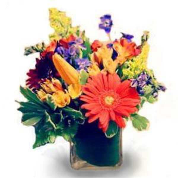 Colorful mixed flower bouquet in a square glass vase