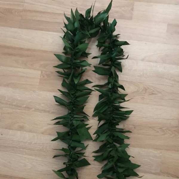Two dark green leaf garlands laid on a wooden floor