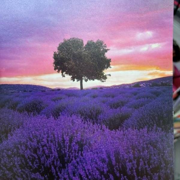 Nature Blank card