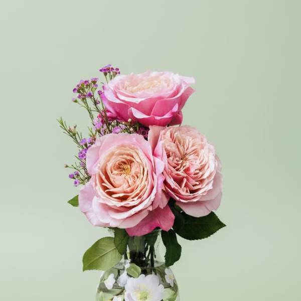 Painted Peonies Vase with blooms