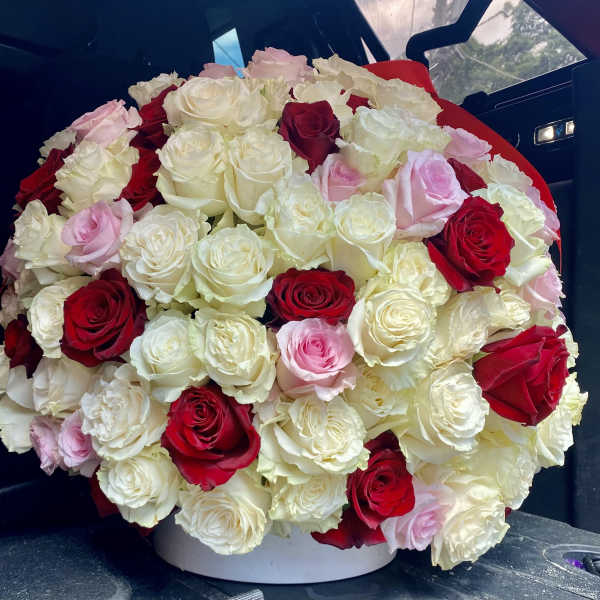 200 Roses by SUFLOR