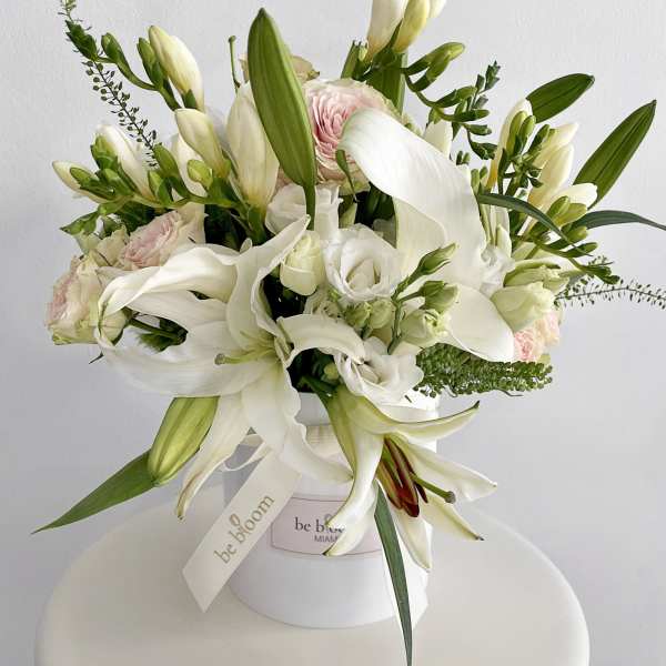 Serene Elegance Box