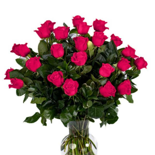 Two Dozen Hot Pink Roses