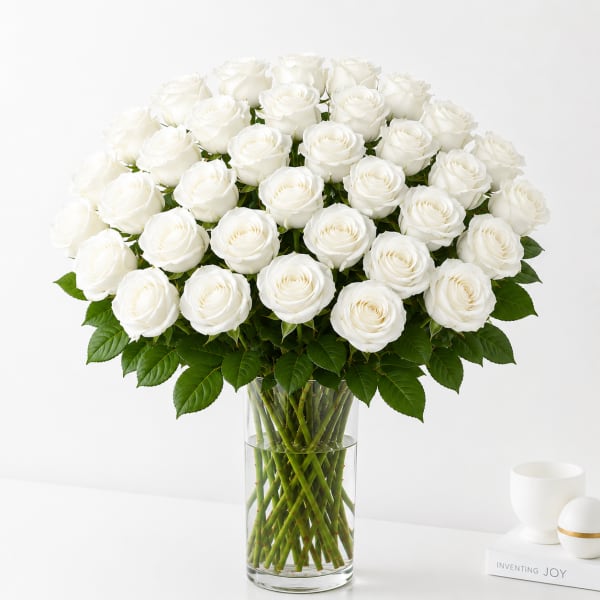 36 White Roses