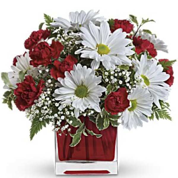 Red And White Delight by Teleflora