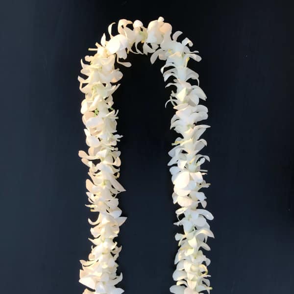 White orchid lei on a dark background