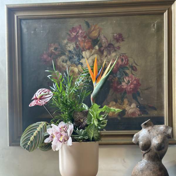 Tropical plant arrangement in a beige pot with bird of paradise and orchids