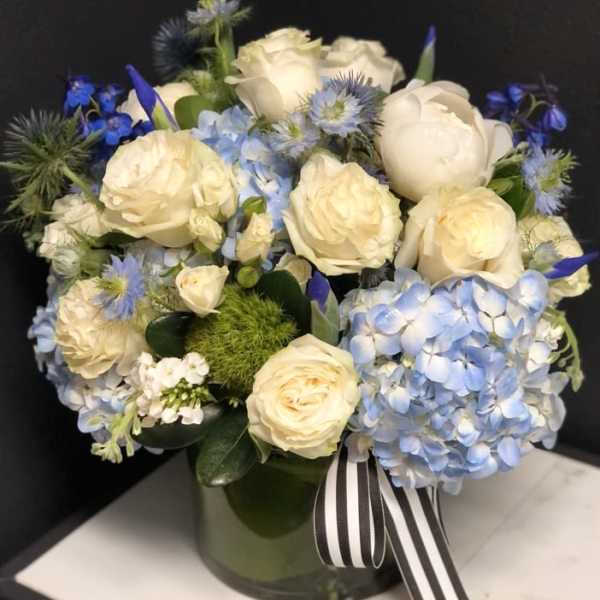 Cream roses and blue hydrangeas arranged in a glass vase with a striped ribbon.