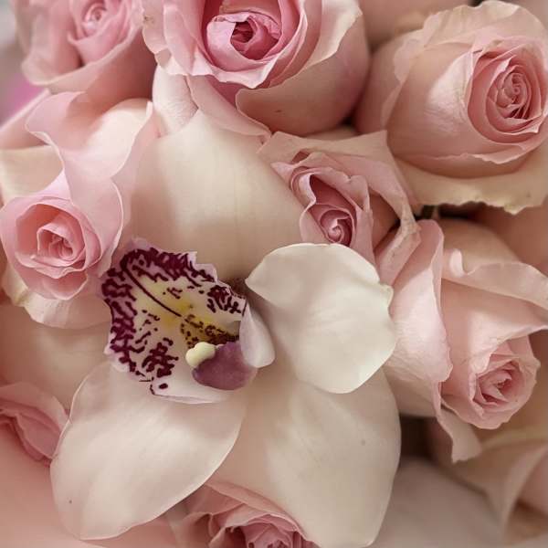 Pink roses with white orchid petals in a close-up bouquet