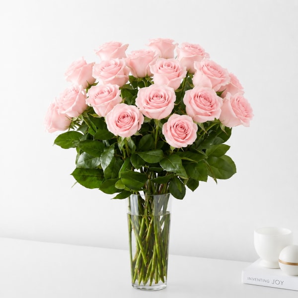 Two Dozen Light Pink Roses